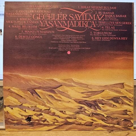 Ali Kocatepe – Geceler Sayılmaz Yaşanmadıkça LP PLAK