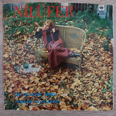 Nilüfer – Ne Olacak Şimdi / Pişman Olacaksın 45LİK PLAK