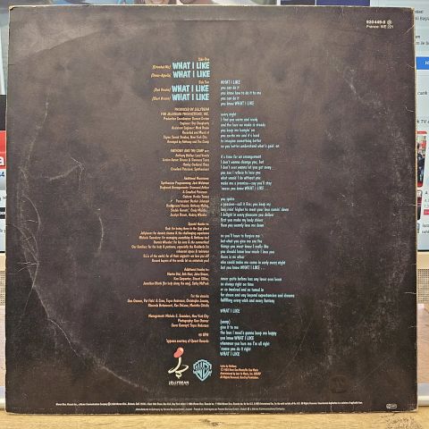 Anthony And The Camp – What I Like LP PLAK