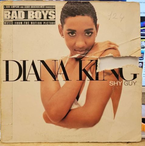 Diana King – Shy Guy LP PLAK