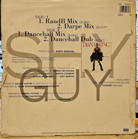 Diana King – Shy Guy LP PLAK