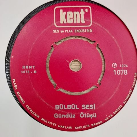 BÜLBÜL SESİ - GÜNDÜZ ÖTÜŞÜ 45LİK PLAK