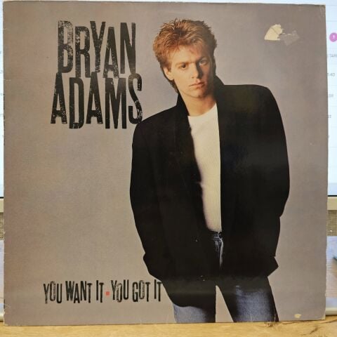 Bryan Adams – You Want It, You Got It LP PLAK
