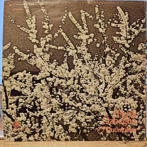 Ferdi Özbeğen – Mutluluklar LP PLAK