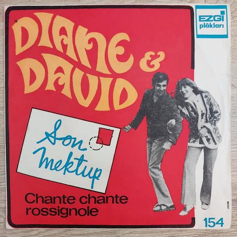 DIANE DAVID - SON MEKTUP 45LİK PLAK