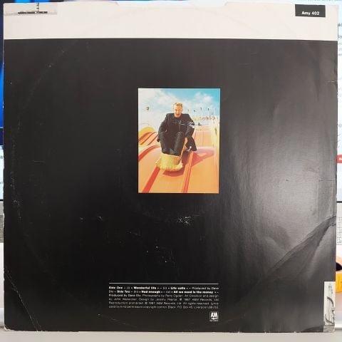 Black (2) – Wonderful Life LP PLAK