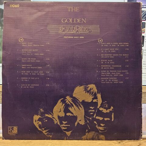 BEE GEES THE GOLDEN LP PLAK