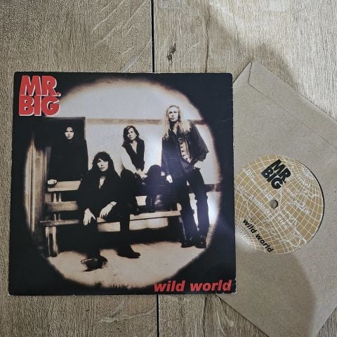 Mr. Big – Wild World 45LİK PLAK
