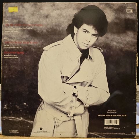 Glenn Medeiros – Long And Lasting Love (Once In A Lifetime) LP PLAK