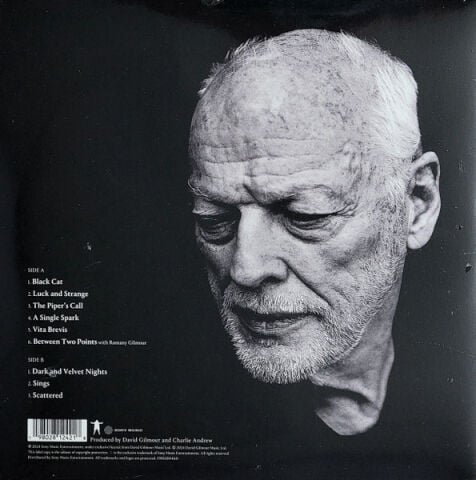 David Gilmour – Luck And Strange LP PLAK