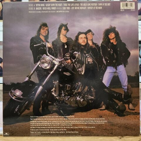 Delta Rebels – Down In The Dirt LP PLAK