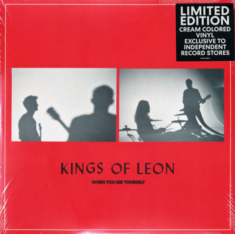 Kings Of Leon – When You See Yourself LP PLAK