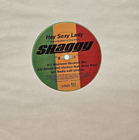 Shaggy Featuring Brian & Tony Gold – Hey Sexy Lady LP PLAK