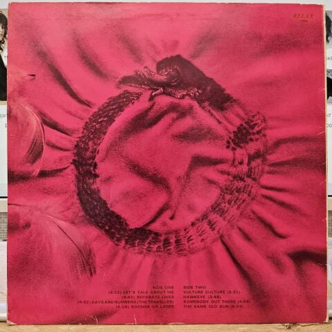 The Alan Parsons Project – Vulture Culture LP PLAK