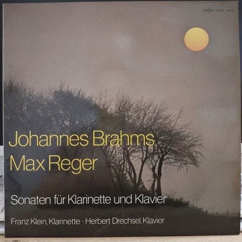JOHANNES BRAHMS MAX REGER LP PLAK