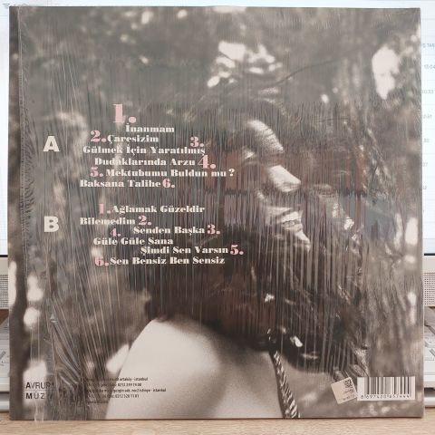 GÖKSEL - MEKTUBUMU BULDUN MU LP PLAK