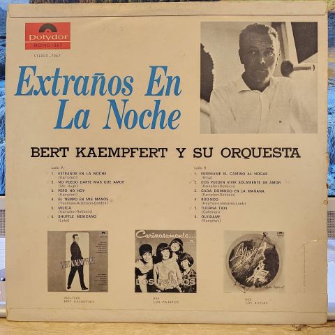 Strangers In The Night = Extraños En La Noche