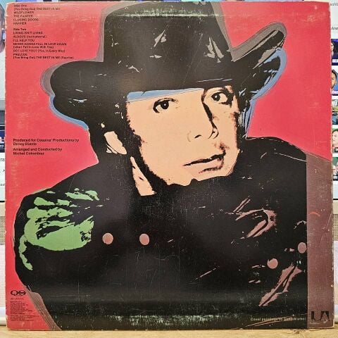 Paul Anka – The Painter LP PLAK