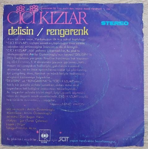 Cici Kızlar – Delisin / Rengarenk 45LİK PLAK