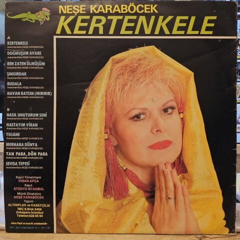 Neşe Karaböcek – Kertenkele LP PLAK