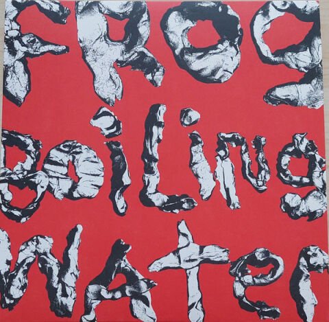 DIIV – Frog In Boiling Water LP PLAK
