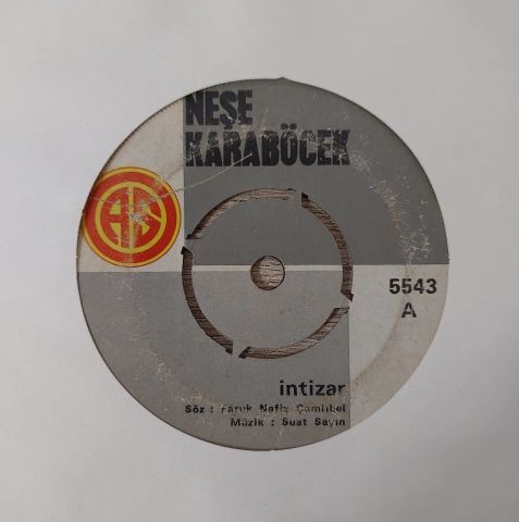 Neşe Karaböcek – İntizar / Karlı Bir Kış Günü 45LİK PLAK