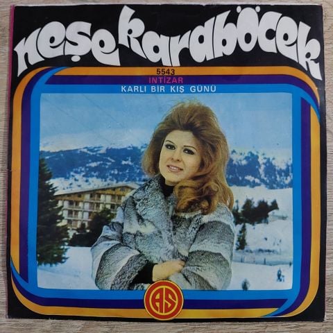 Neşe Karaböcek – İntizar / Karlı Bir Kış Günü 45LİK PLAK