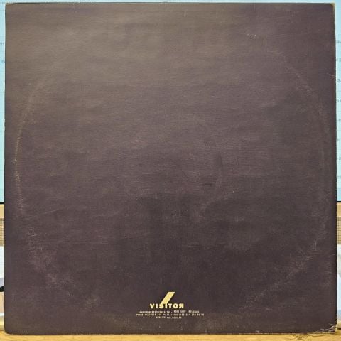 Ravi McArthur – Duncan Loves Deathsex LP PLAK