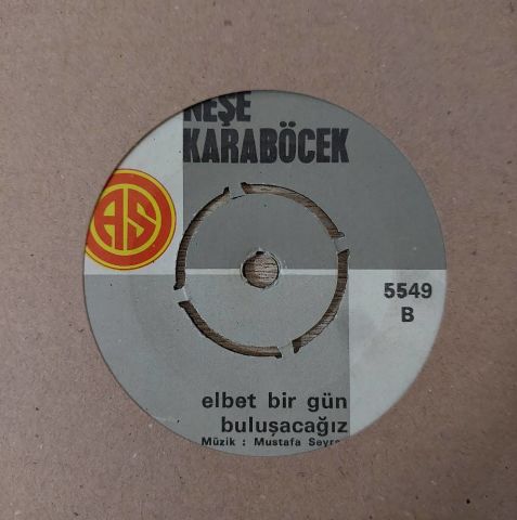 Neşe Karaböcek – Pişman Olur Da Bir Gün / Elbet Bir Gün Buluşacağız 45LİK PLAK...