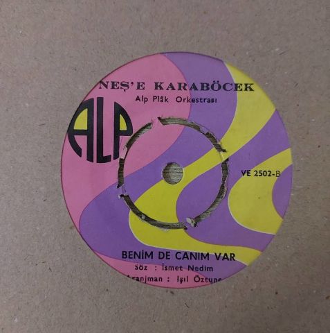 Neşe Karaböcek – Bana Çok Mu Görüyorsun / Benim De Canım Var 45LİK PLAK