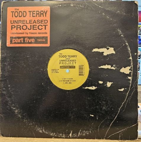 Todd Terry – The Todd Terry Unreleased Project Part 5 LP PLAK