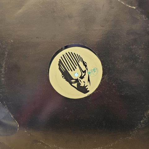 Bleachin' – Peakin' LP PLAK