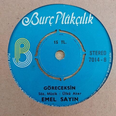 EMEL SAYIN - ALBÜMDEKİ RESİMLER 45LİK PLAK