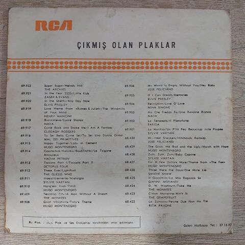 The Archies – Sugar, Sugar / Melody Hill 45LİK PLAK (BETÜL ATLI ÇİZİM KAPAK)