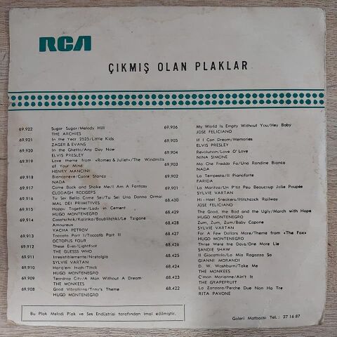 Roman Reed – Take My Heart Tonight, Love / Lady Of Spain 45LİK PLAK (BETÜL ATLI ÇİZİM)