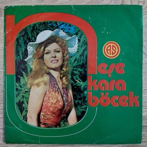 Neşe Karaböcek – Nasıl Geçti Habersiz / Sevmekten Kim Usanır 45LİK PLAK