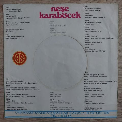 Neşe Karaböcek – Nasıl Geçti Habersiz / Sevmekten Kim Usanır 45LİK PLAK