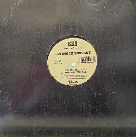 BKS Featuring In 3's – Living In Ecstasy LP PLAK