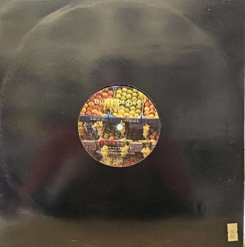 Sander Kleinenberg – The Fruit LP PLAK