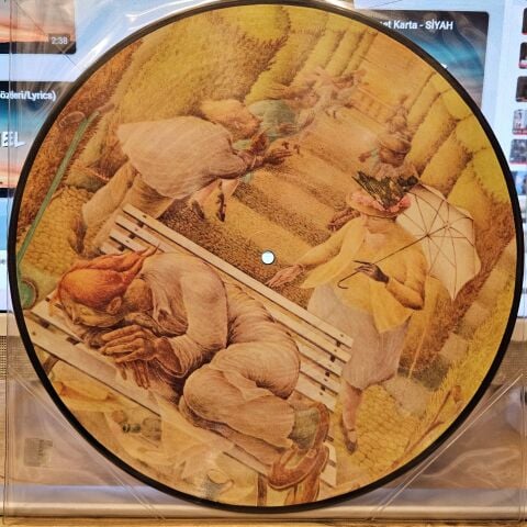 Genesis – Selling England By The Pound LP PLAK ( PİCTURE DİSC )