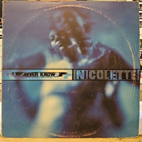 Nicolette – We Never Know LP PLAK