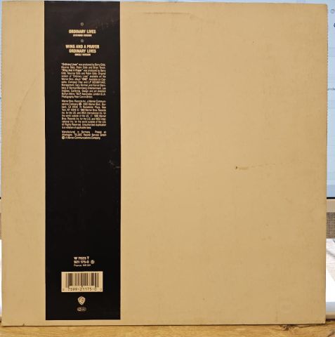 Bee Gees – Ordinary Lives LP PLAK