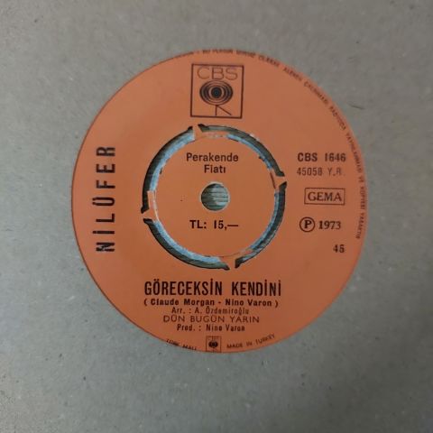 Nilüfer – Göreceksin Kendini / Aldanırım Sanma 45LİK PLAK