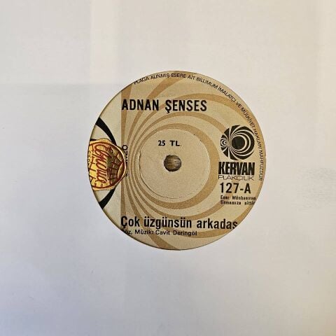 ADNAN ŞENSES - ÇOK ÜZGÜNSÜN ARKADAŞ 45LİK PLAK