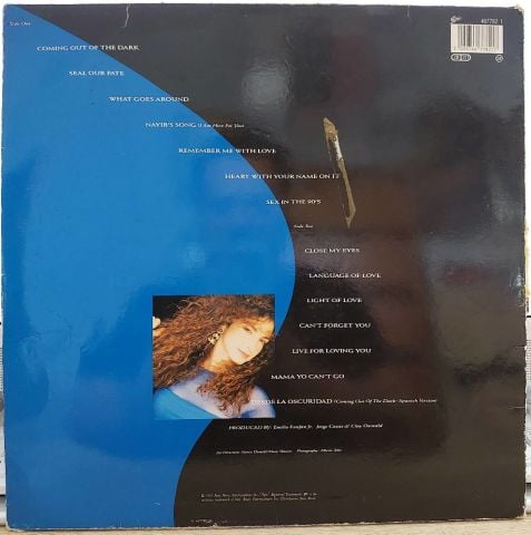 Gloria Estefan – Into The Light LP PLAK