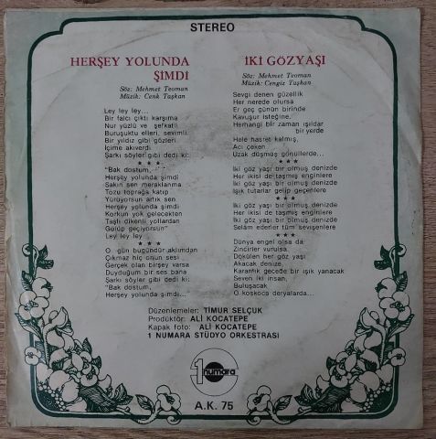 Nükhet Duru – Herşey Yolunda Şimdi / İki Gözyaşı 45LİK PLAK