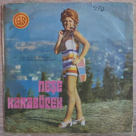 Neşe Karaböcek – Tatlı Dillim Güler Yüzlüm / Katip Arzuhalim Yaz Yare Böyle 45LİK PLAK