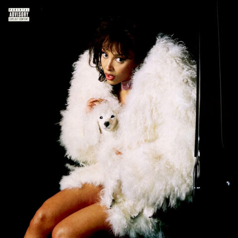 Doja Cat - Vie album cover More images LP PLAK