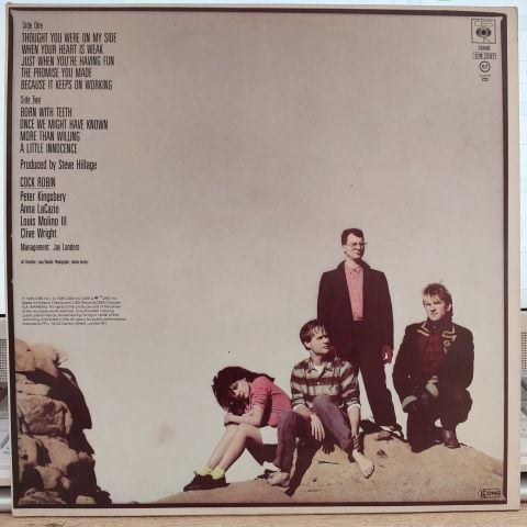 Cock Robin – Cock Robin LP PLAK