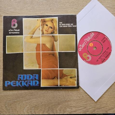 Ajda Pekkan – Ne Varsa Bende Var / Yere Bakan Yürek Yakan 45LİK PLAK